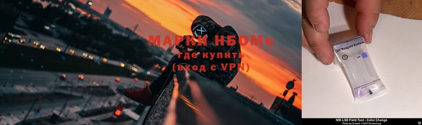 сатива Навашино