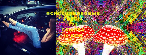 сатива Навашино