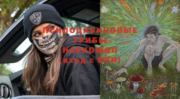 сатива Навашино