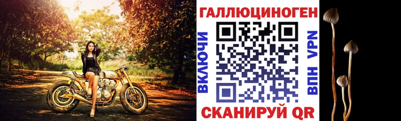 МЕГА как зайти  Рассказово  Псилоцибиновые грибы прущие грибы 