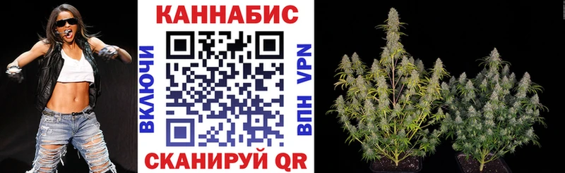 Бошки марихуана Amnesia  Рассказово 